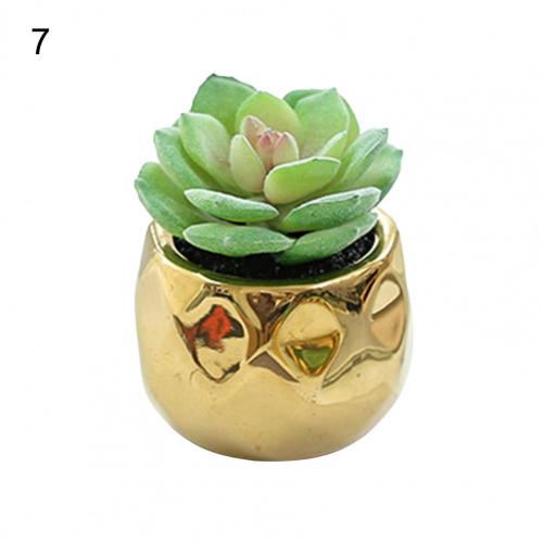 Set of 2 realistic indoor artificial succulent plants in mini ceramic pots.
