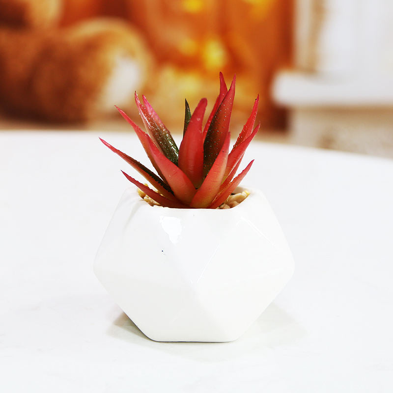 Set of 3 Artificial Succulent Plants in Ceramic Pots – HBAK Choices