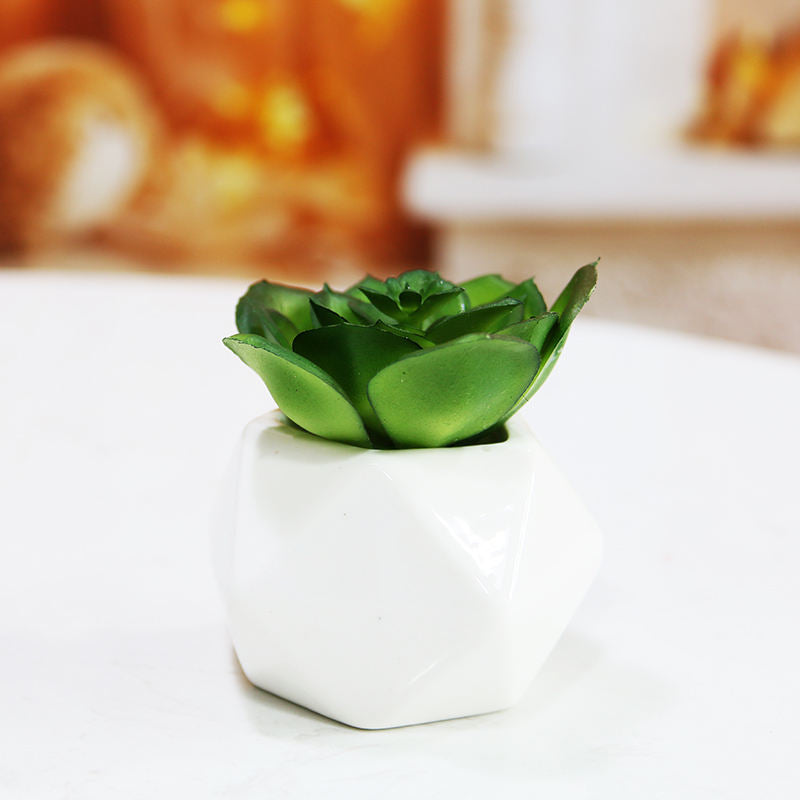 Set of 3 Artificial Succulent Plants in Ceramic Pots – HBAK Choices