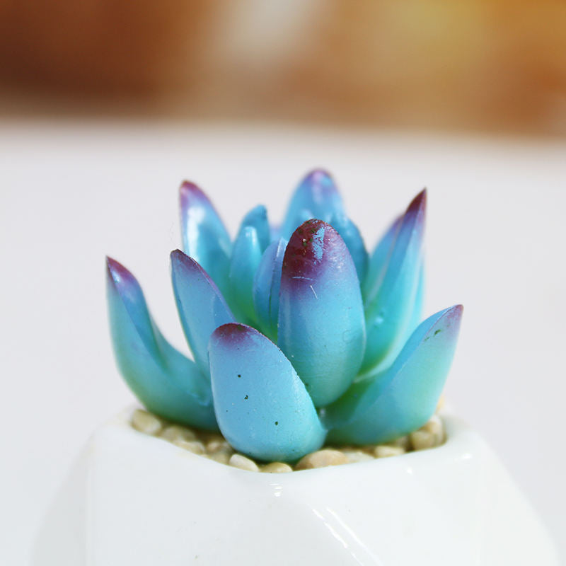 Set of 3 Artificial Succulent Plants in Ceramic Pots – HBAK Choices