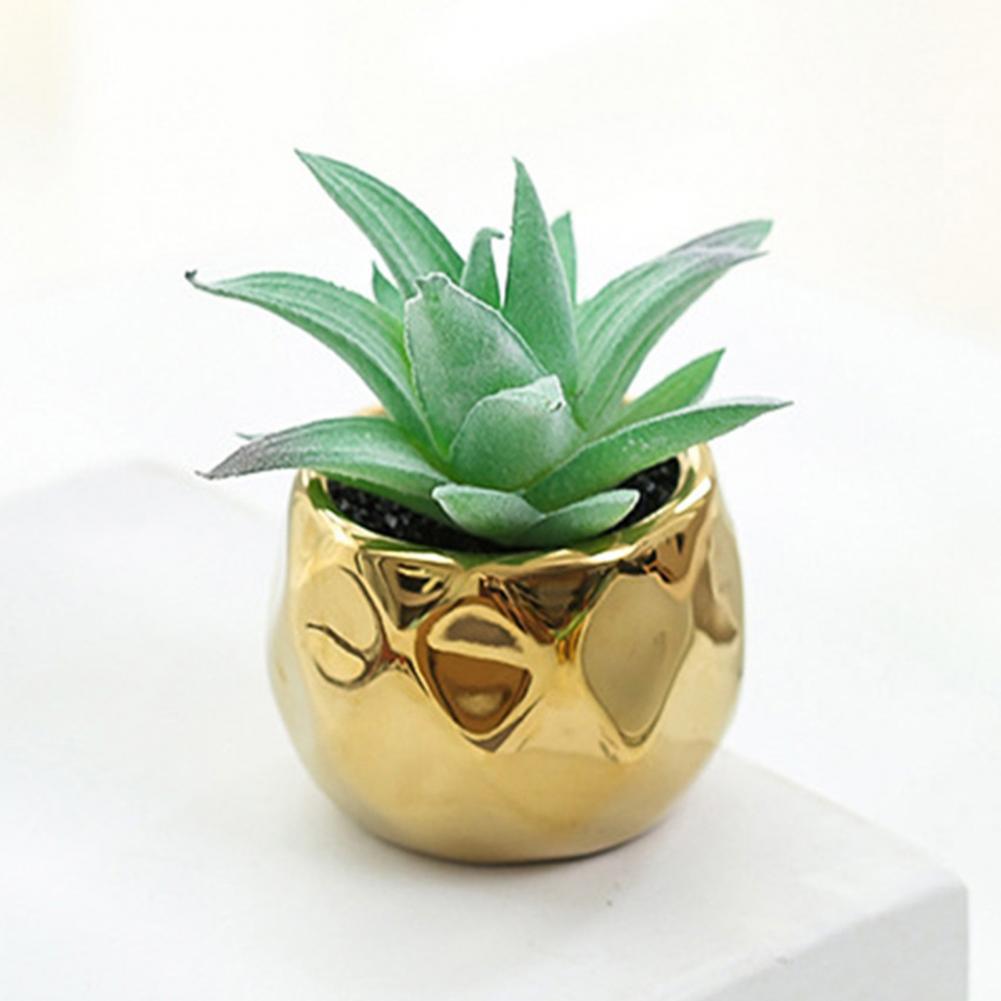 Set of 2 realistic indoor artificial succulent plants in mini ceramic pots.