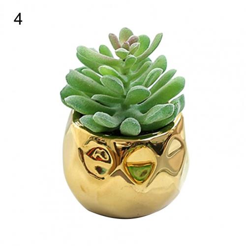 Set of 2 realistic indoor artificial succulent plants in mini ceramic pots.