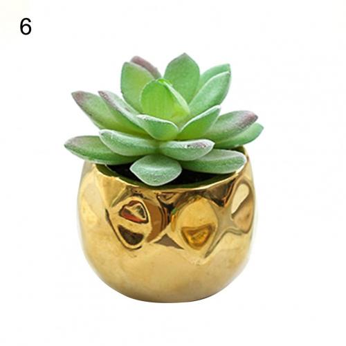 Set of 2 realistic indoor artificial succulent plants in mini ceramic pots.