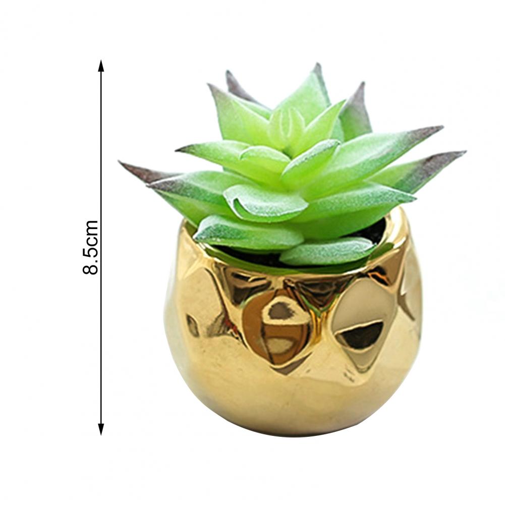 Set of 2 realistic indoor artificial succulent plants in mini ceramic pots.