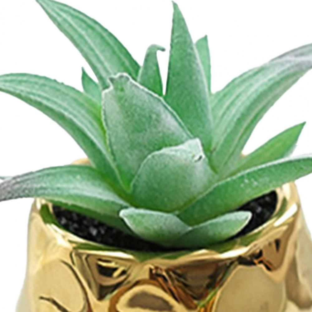 Set of 2 realistic indoor artificial succulent plants in mini ceramic pots.
