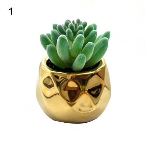 Set of 2 realistic indoor artificial succulent plants in mini ceramic pots.