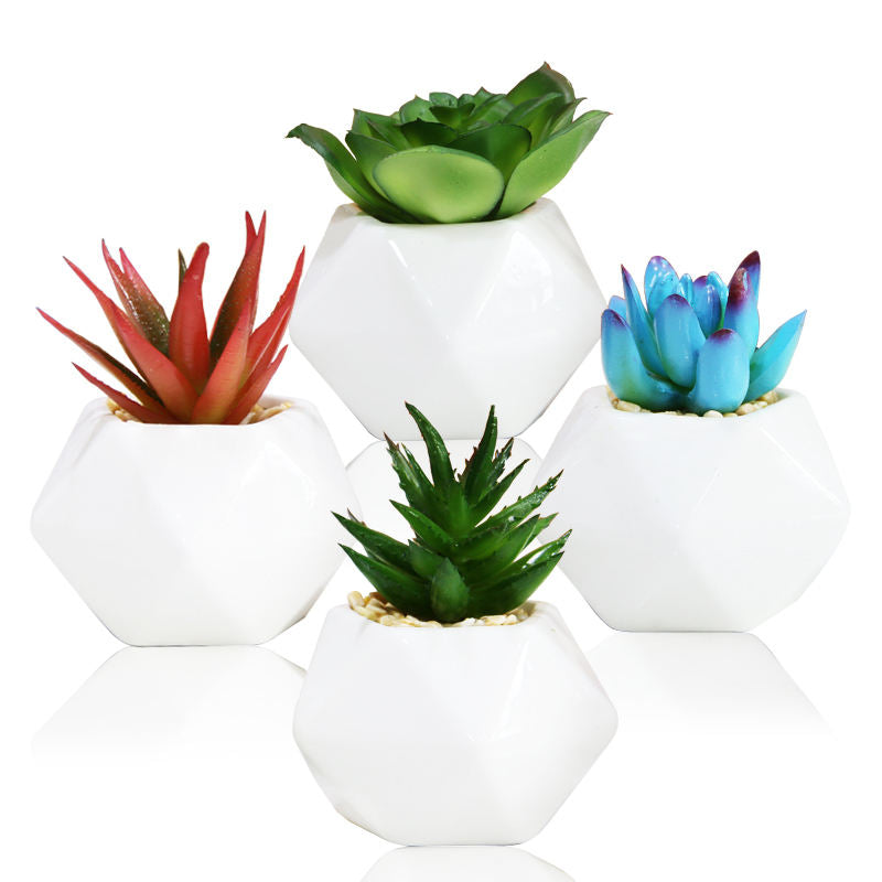 Set of 3 Artificial Succulent Plants in Ceramic Pots – HBAK Choices