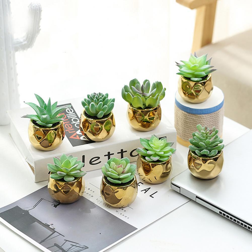 Set of 2 realistic indoor artificial succulent plants in mini ceramic pots.