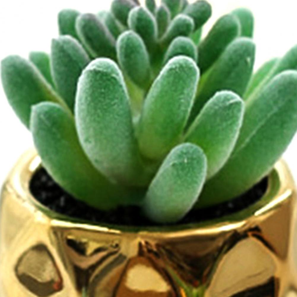 Set of 2 realistic indoor artificial succulent plants in mini ceramic pots.
