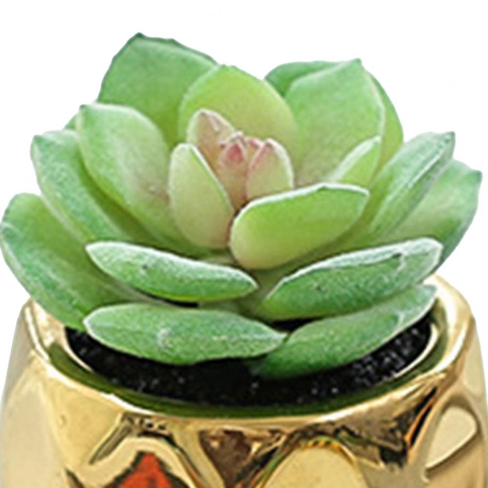 Set of 2 realistic indoor artificial succulent plants in mini ceramic pots.