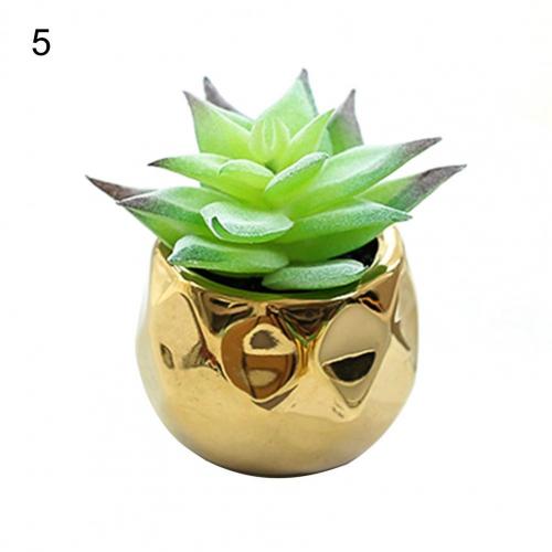 Set of 2 realistic indoor artificial succulent plants in mini ceramic pots.
