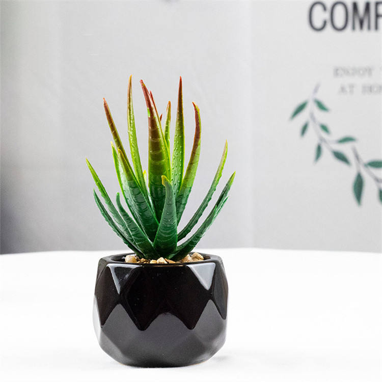 Set of 2 Artificial Green Succulent Plants in Black Ceramic Pots - Decorative Bonsai Faux Succulent with Vase for Home, Balcony & Desktop Decor | Maintenance-Free Indoor Greenery by HBAK Choices