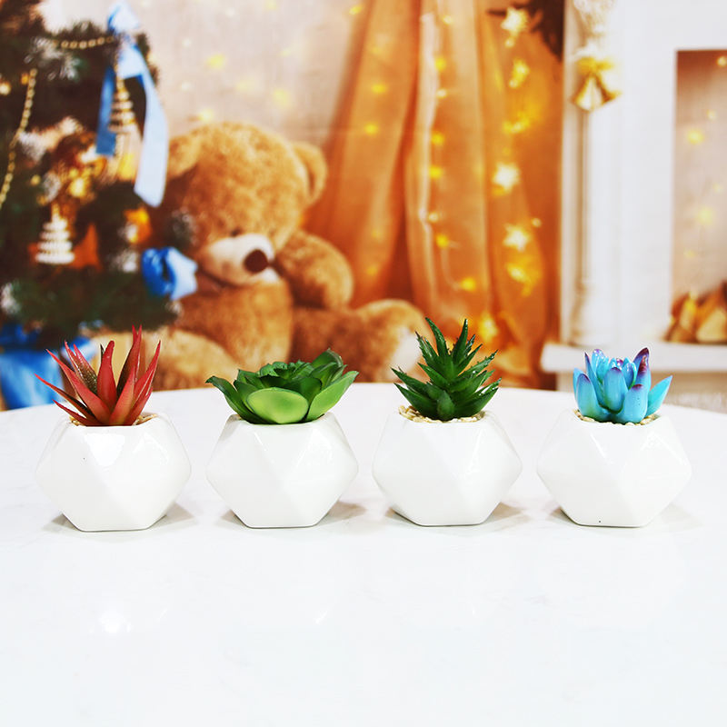 Set of 3 Artificial Succulent Plants in Ceramic Pots – HBAK Choices