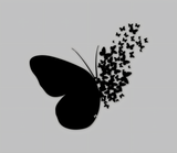 Elegant Butterfly Wall Art, Mini Butterfly Set – MDF wooden & Gold Acrylic