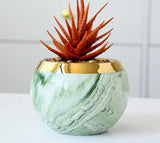Elegant ceramic flower pots in pastel marble design with iron stand
