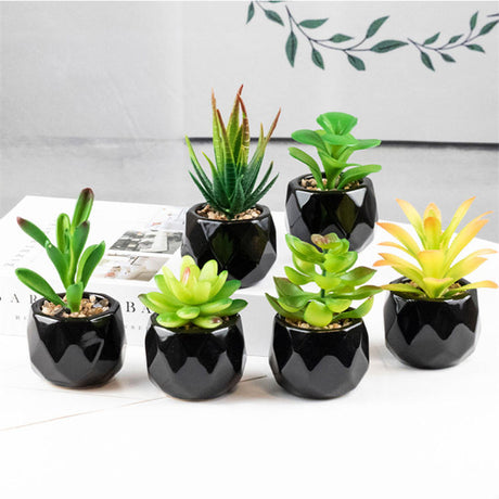 Set of 2 Artificial Green Succulent Plants in Black Ceramic Pots - Decorative Bonsai Faux Succulent with Vase for Home, Balcony &amp; Desktop Decor | Maintenance-Free Indoor Greenery by HBAK Choices
