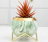 Marble vase duo with gold iron stand on wooden bookshelf
