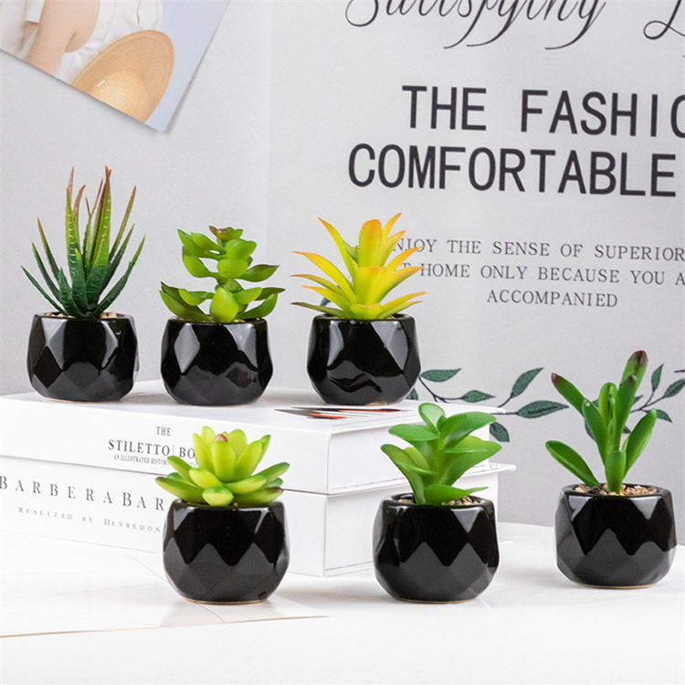 Set of 2 Artificial Green Succulent Plants in Black Ceramic Pots - Decorative Bonsai Faux Succulent with Vase for Home, Balcony &amp; Desktop Decor | Maintenance-Free Indoor Greenery by HBAK Choices