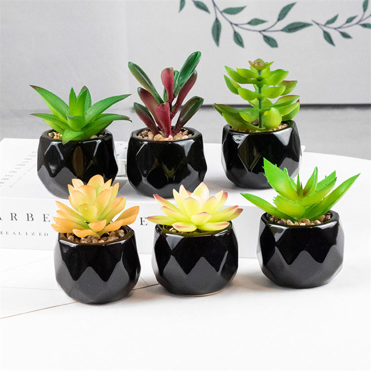 Set of 2 Artificial Green Succulent Plants in Black Ceramic Pots - Decorative Bonsai Faux Succulent with Vase for Home, Balcony &amp; Desktop Decor | Maintenance-Free Indoor Greenery by HBAK Choices