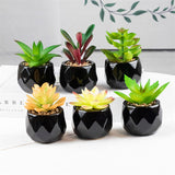 Set of 2 Artificial Green Succulent Plants in Black Ceramic Pots - Decorative Bonsai Faux Succulent with Vase for Home, Balcony &amp; Desktop Decor | Maintenance-Free Indoor Greenery by HBAK Choices