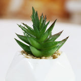 Set of 3 Artificial Succulent Plants in Ceramic Pots – HBAK Choices