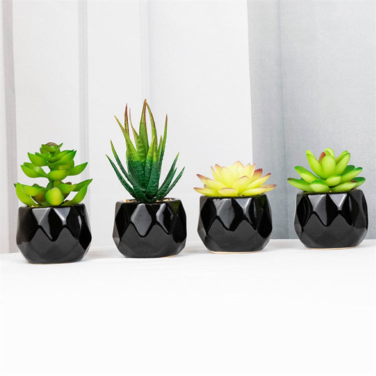 Set of 2 Artificial Green Succulent Plants in Black Ceramic Pots - Decorative Bonsai Faux Succulent with Vase for Home, Balcony &amp; Desktop Decor | Maintenance-Free Indoor Greenery by HBAK Choices