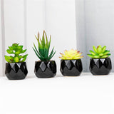 Set of 2 Artificial Green Succulent Plants in Black Ceramic Pots - Decorative Bonsai Faux Succulent with Vase for Home, Balcony &amp; Desktop Decor | Maintenance-Free Indoor Greenery by HBAK Choices