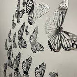 mirror butterfly