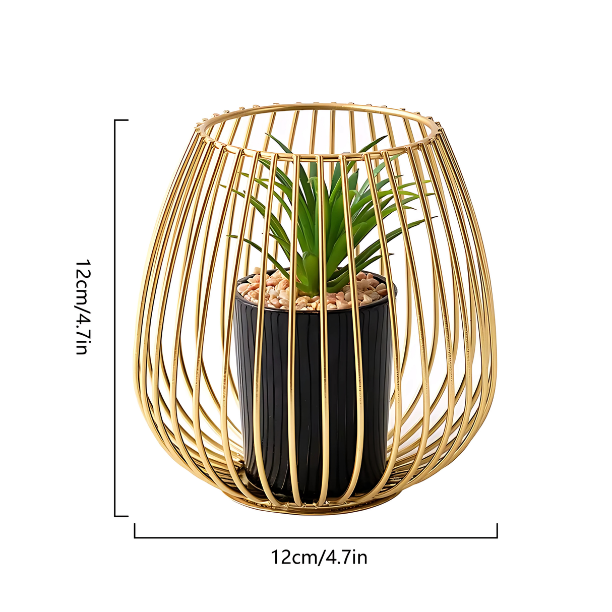 plant pot