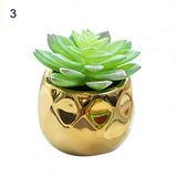 Set of 2 realistic indoor artificial succulent plants in mini ceramic pots.