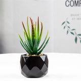 Set of 2 Artificial Green Succulent Plants in Black Ceramic Pots - Decorative Bonsai Faux Succulent with Vase for Home, Balcony &amp; Desktop Decor | Maintenance-Free Indoor Greenery by HBAK Choices