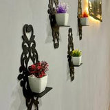 shelf with decorative plant 