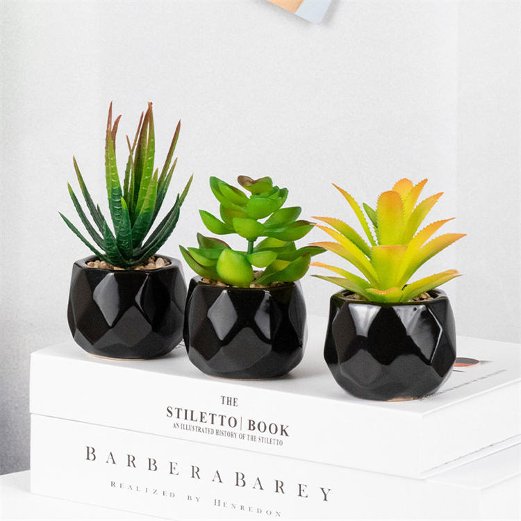 Set of 2 Artificial Green Succulent Plants in Black Ceramic Pots - Decorative Bonsai Faux Succulent with Vase for Home, Balcony &amp; Desktop Decor | Maintenance-Free Indoor Greenery by HBAK Choices